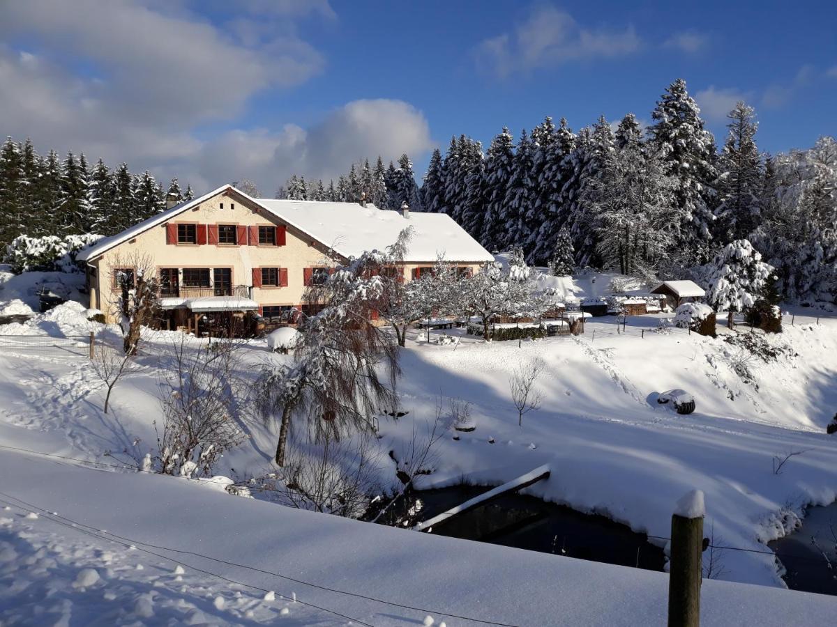 Hotel La Belle Charbonniere La Grande Fosse Zewnętrze zdjęcie