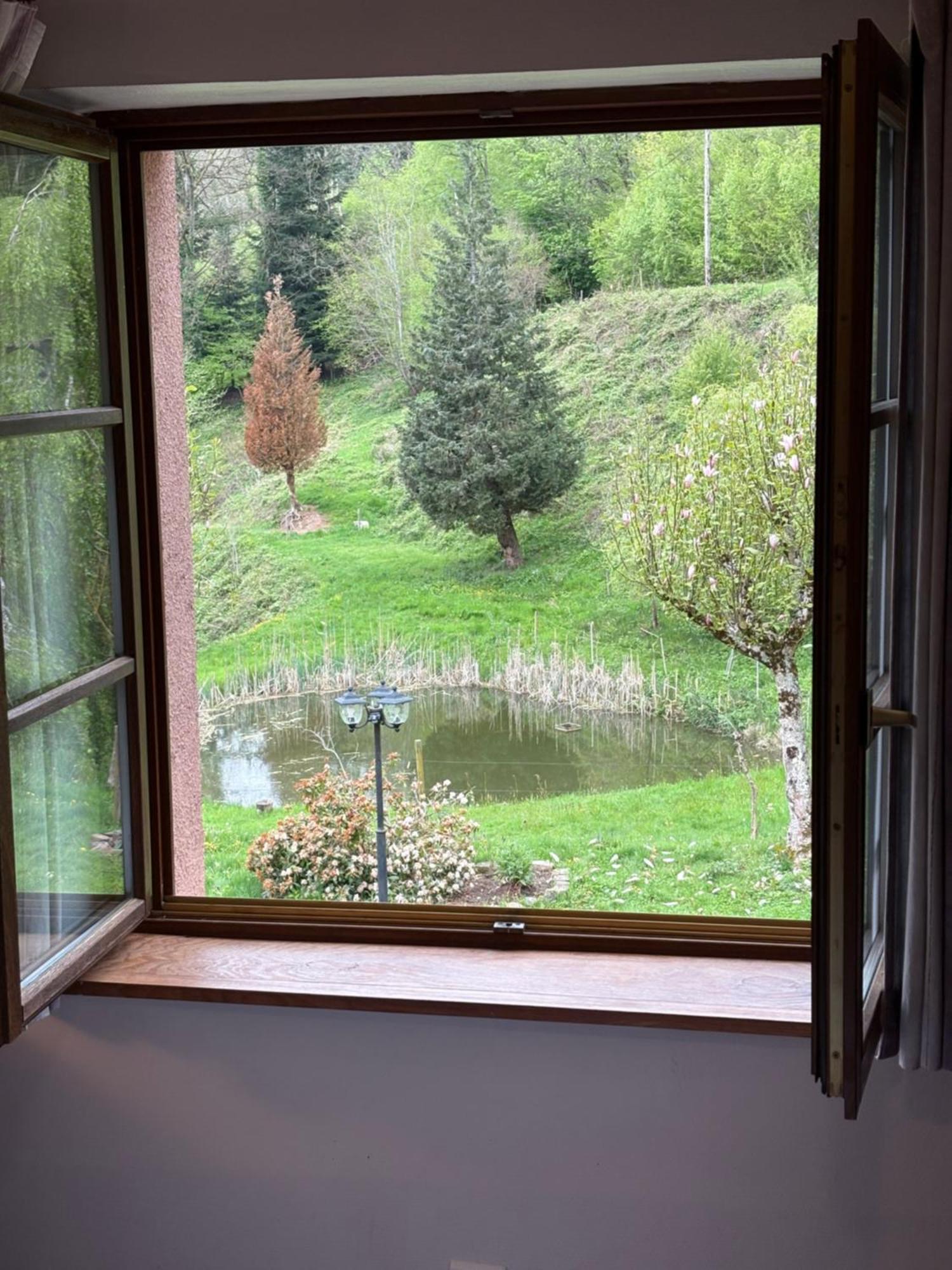 Hotel La Belle Charbonniere La Grande Fosse Pokój zdjęcie