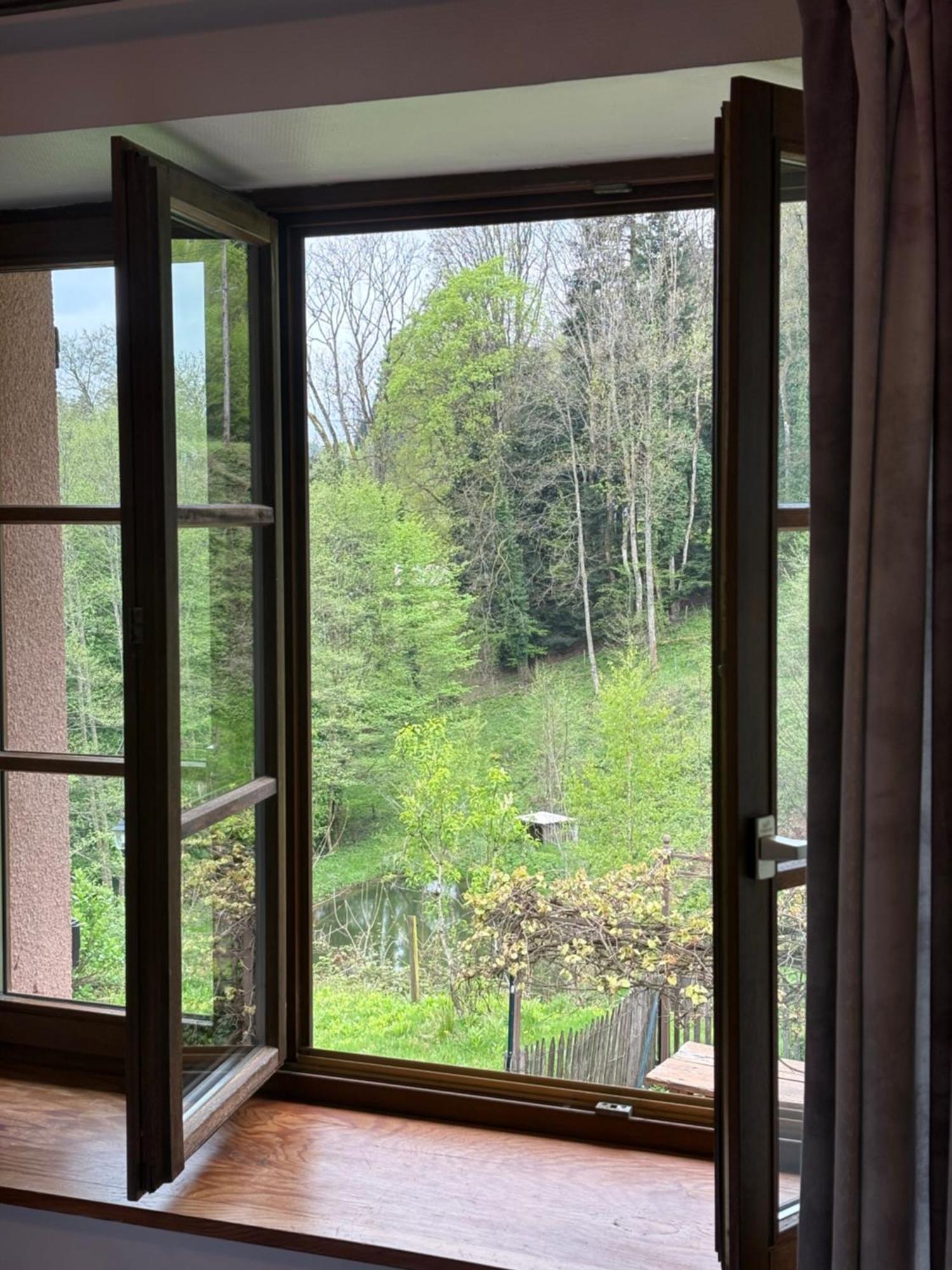 Hotel La Belle Charbonniere La Grande Fosse Pokój zdjęcie